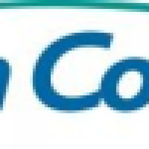 Bellin College